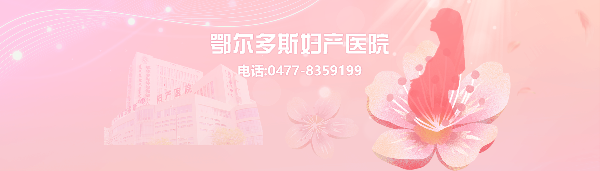 无法加载